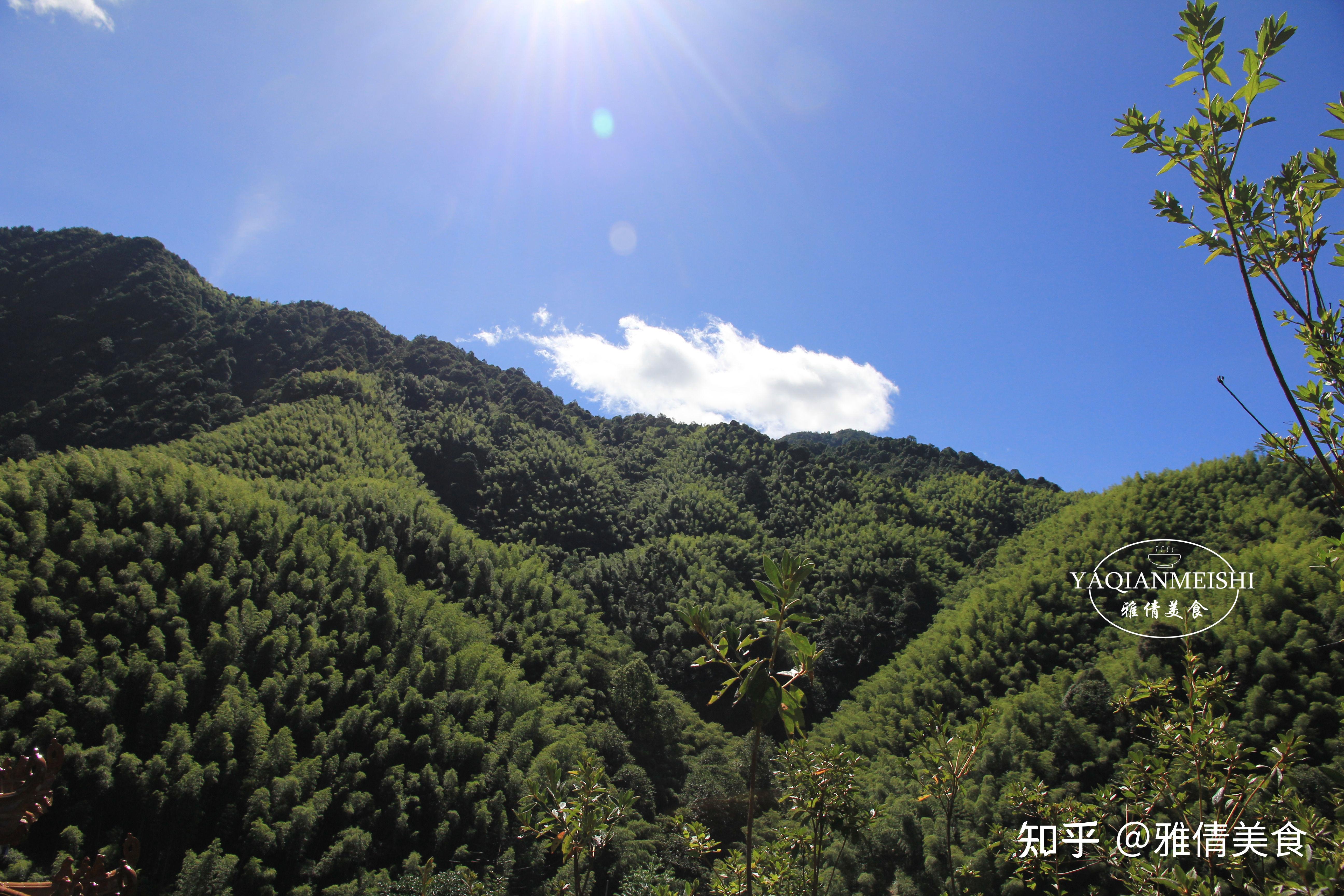 去炎陵梨树洲避暑,住海拔1500米的民宿,1天150元,有土鸡土鸭吃 - 知乎