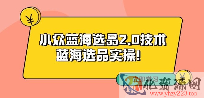 拼多多培训第33期：小众蓝海选品2.0技术-蓝海选品实操！