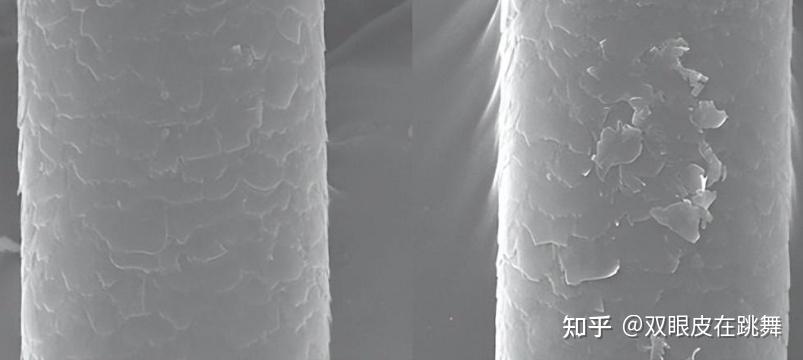 v2-89367a10852538486ebeda331e0ddff8_r.jpg