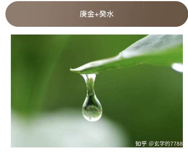 庚金&十天干配对解析大全 - 知乎