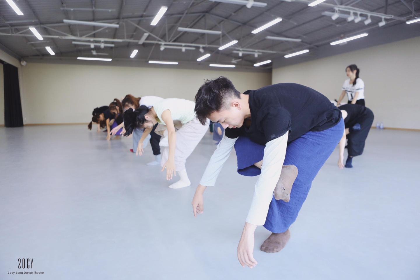 干货总结现代舞基训动作要求归纳