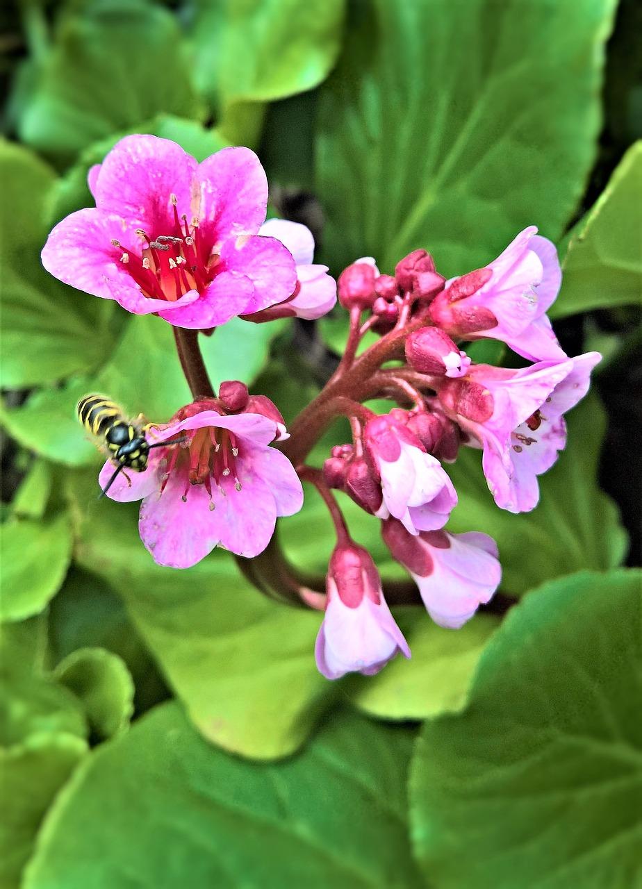 4. 一斤通天香价格