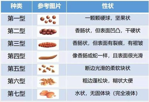 粪便的雅称图片