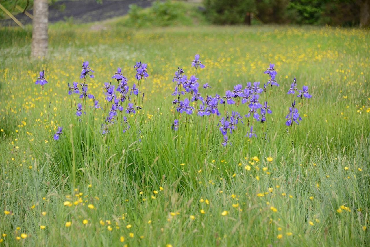 4. 绿意盎然户型