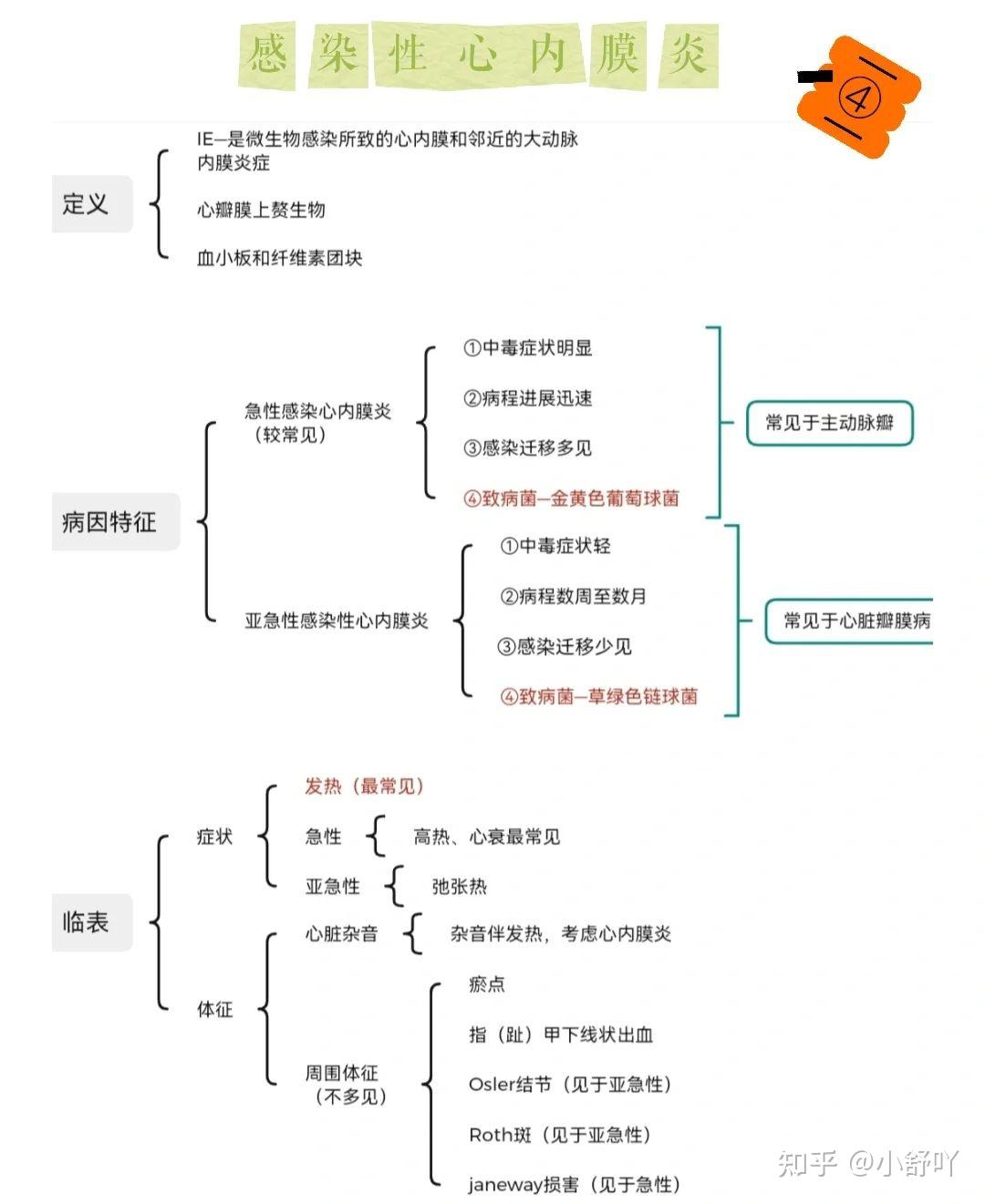 血液循环思维导图初二图片