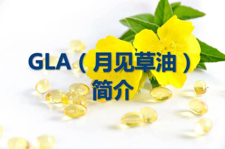 Gla 月见草油 简介 知乎 Gla 月见草油 简介 知乎