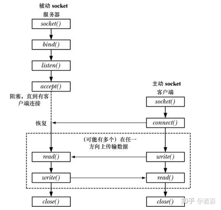 Linux系统编程学习笔记——Socket编程基础 - 知乎