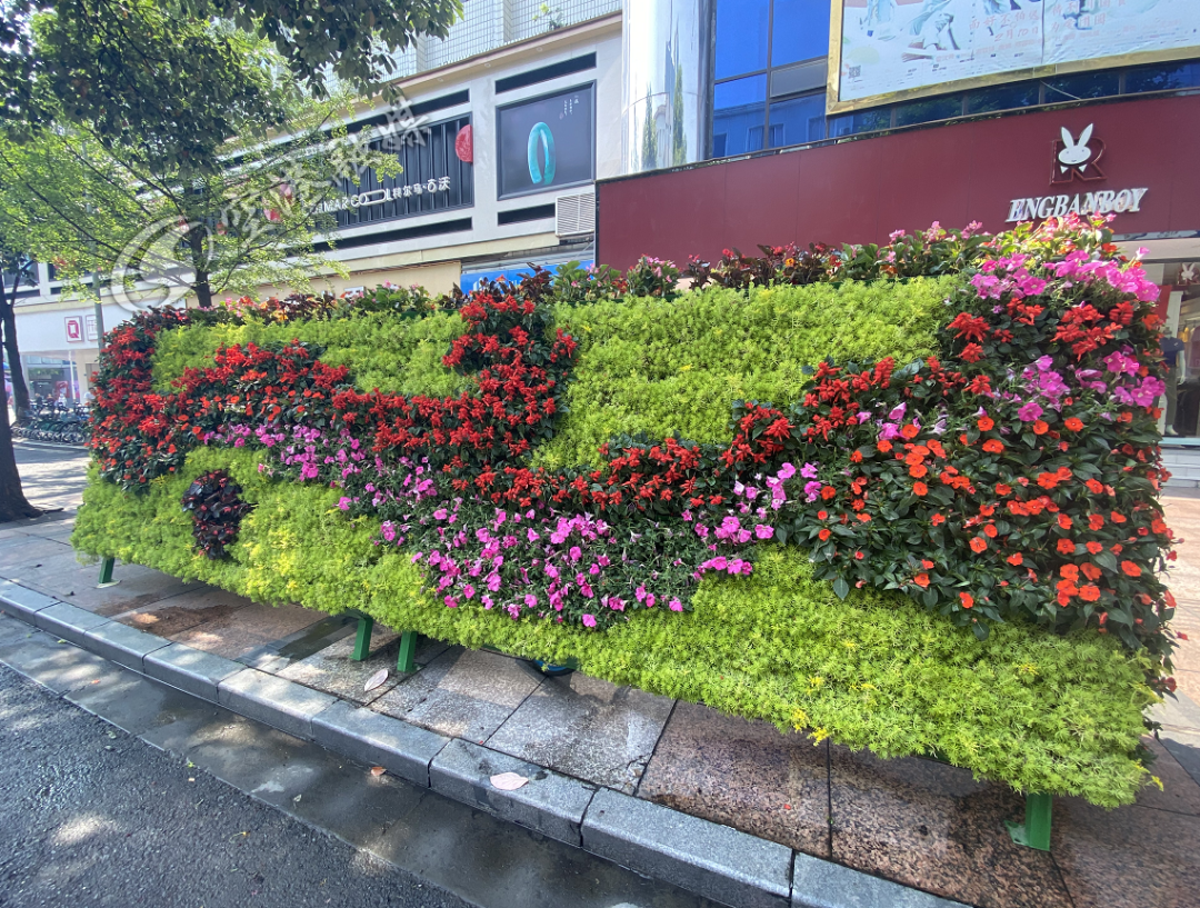 五一新花樣120萬盆鮮花扮靚你的家門口