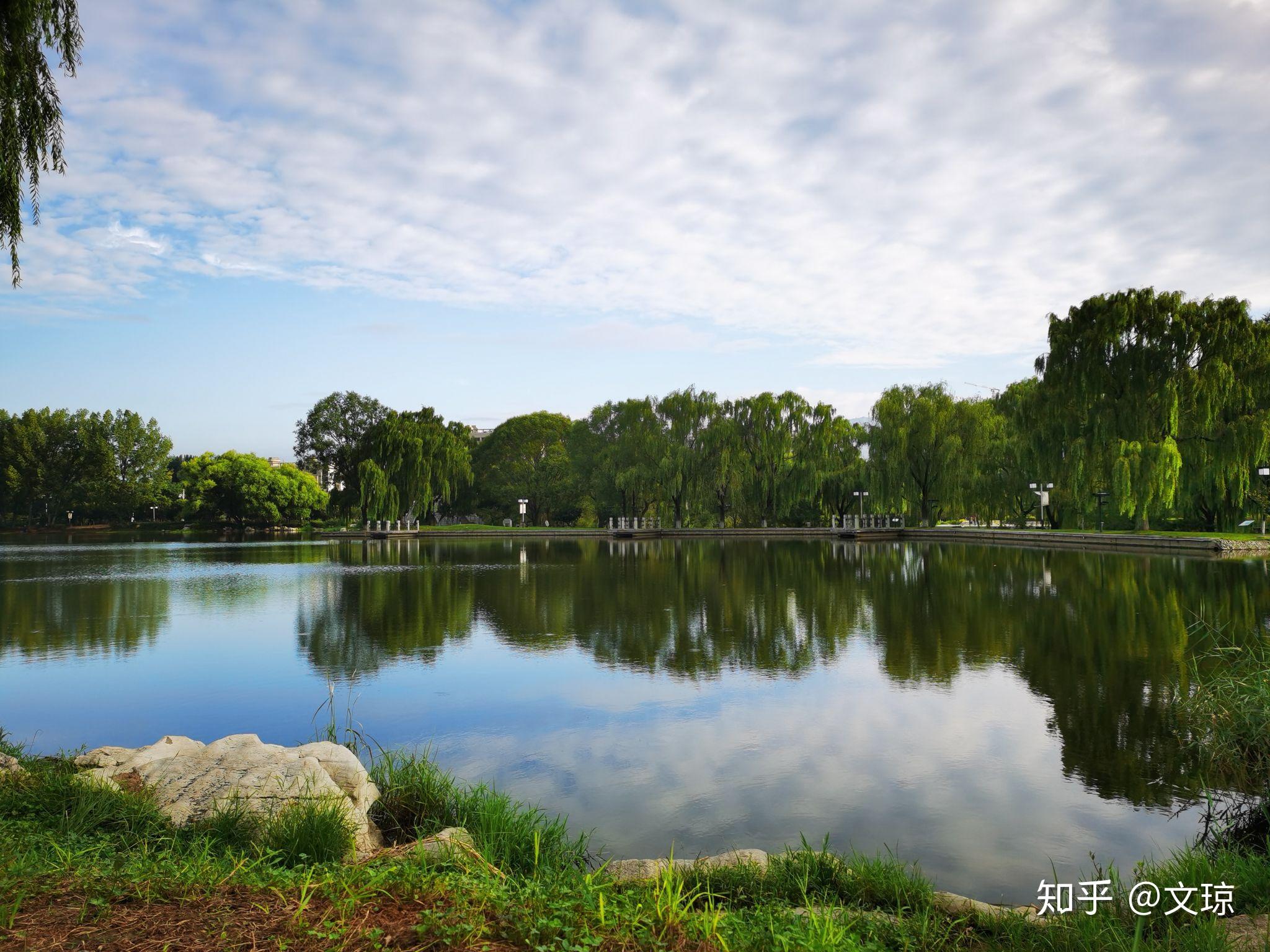2019天鹅湖国家城市湿地公园-旅游攻略-门票-地址-问答-游记点评，三门峡旅游旅游景点推荐-去哪儿攻略