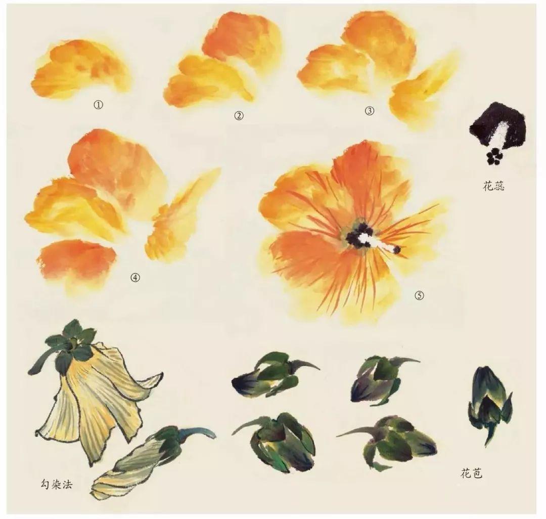 国画各种花卉的画法，太全了（一） - 知乎
