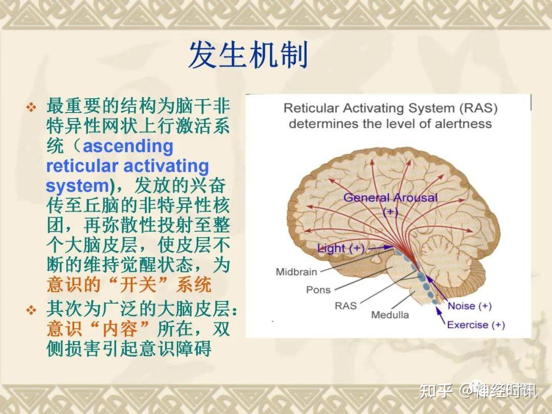 意识障碍的 - 概念、机制、病因、分类 - 知乎