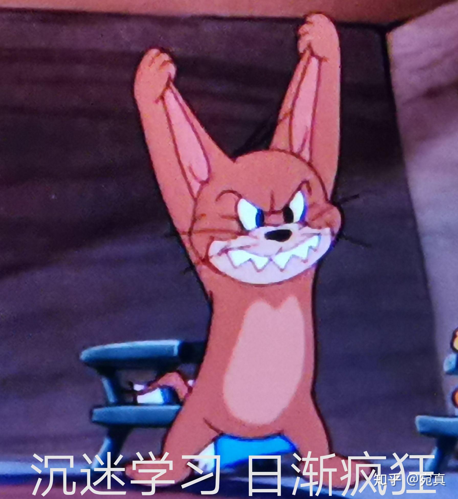 有什么好玩的猫和老鼠表情包?