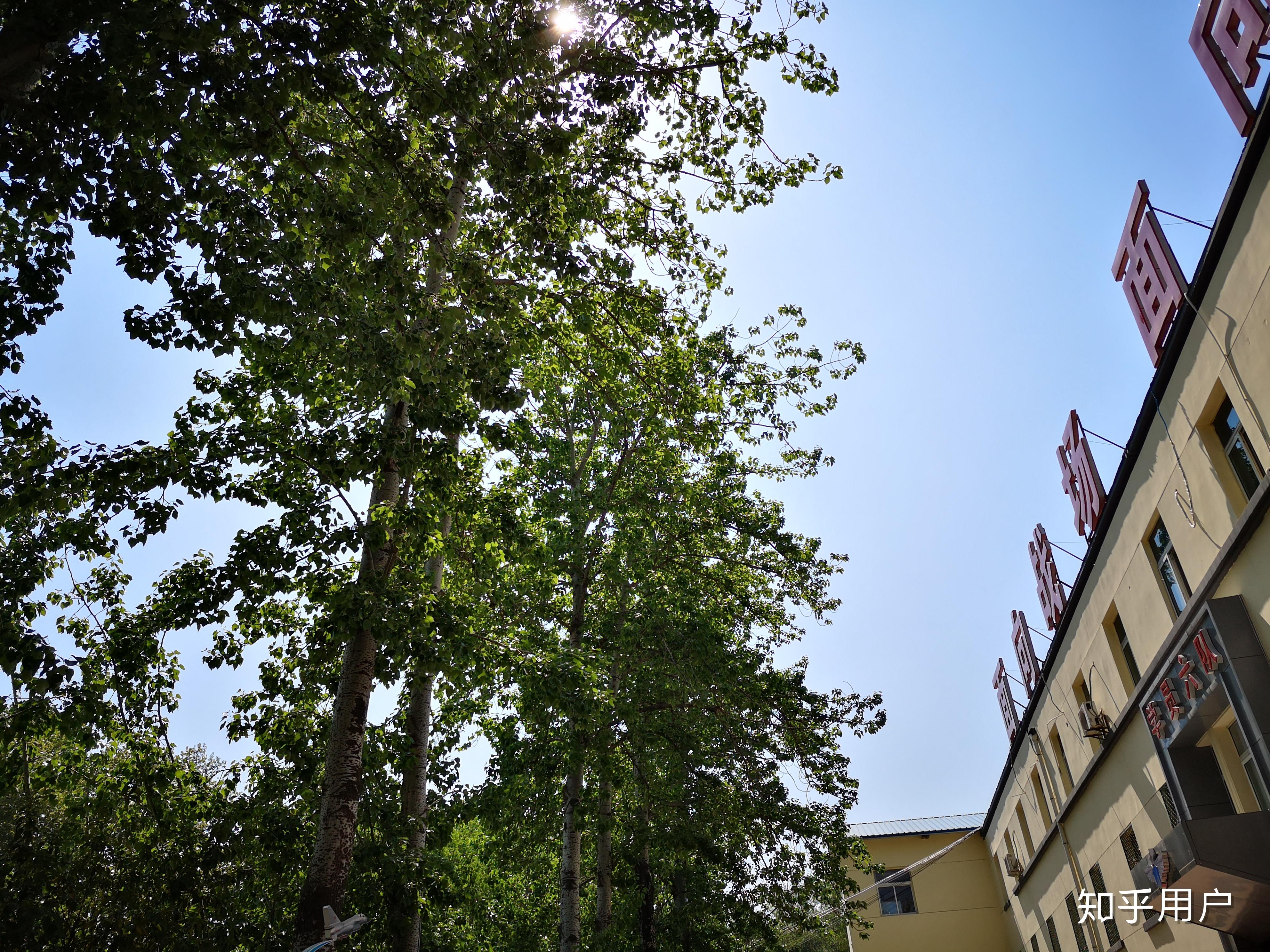 大学怎么上军校 v2-89a4e47d9e2262be9984798998c400cc_r.jpg