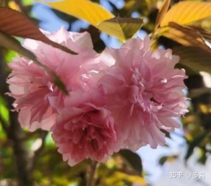 干净治愈文案唯美(干净且治愈的文案短句 适合发朋友圈的优质短句)