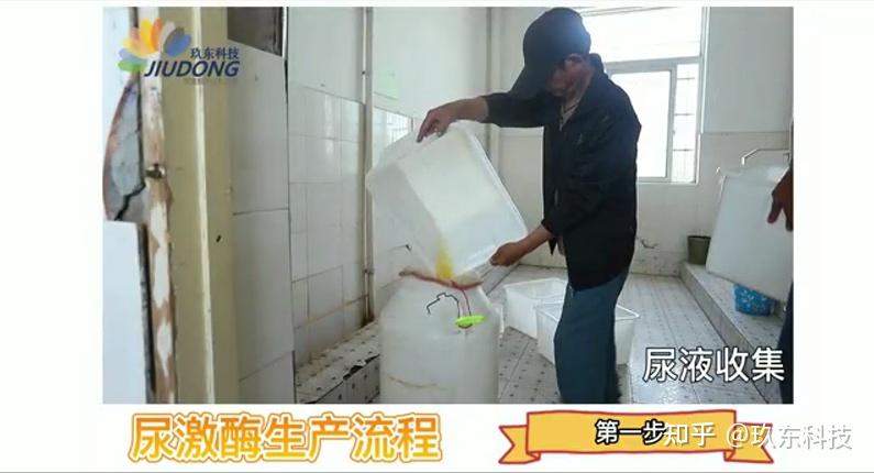 可提取尿激酶 - 知乎