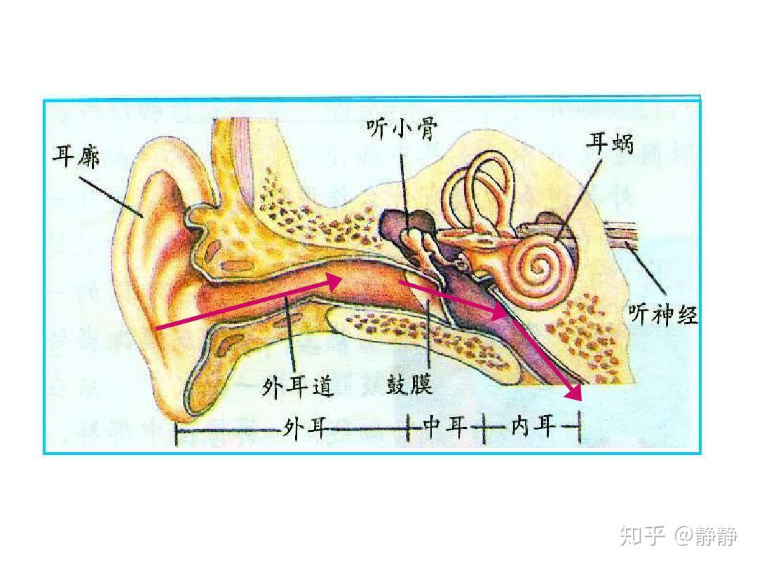 如何练成左耳进右耳出大法? - 知乎