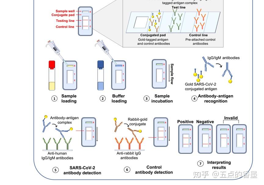 试剂盒的对照rt-pcr的结果(字母代表不同厂家的试剂盒)核酸检测和抗原