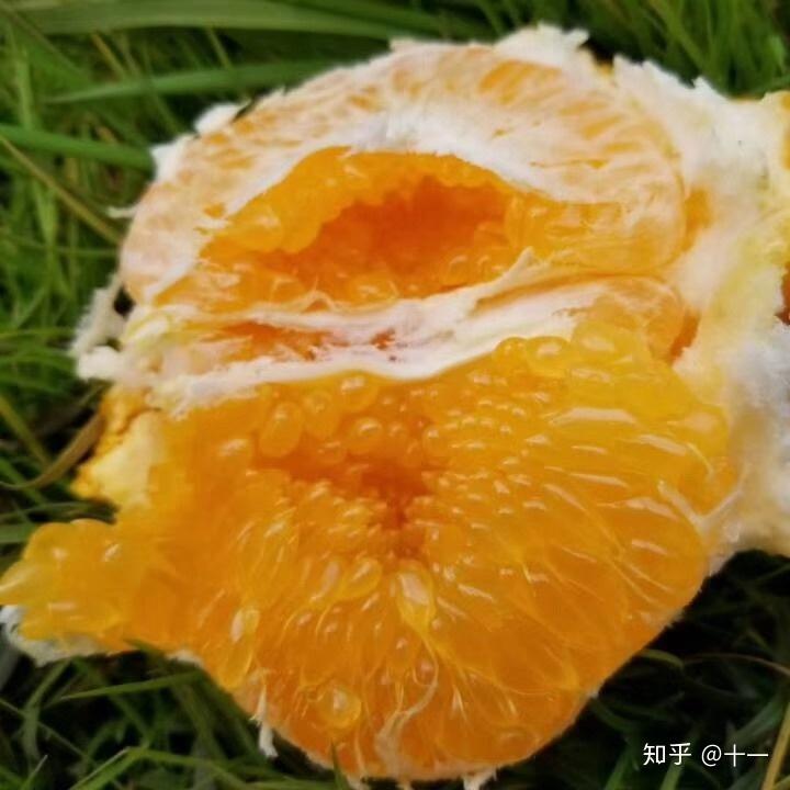 v2-89be559bf14f15e20d2286bde97825d4_r.jpg