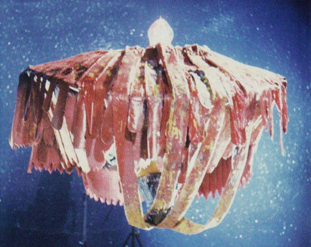 圆盘生物的实力是什么水平? - 知乎