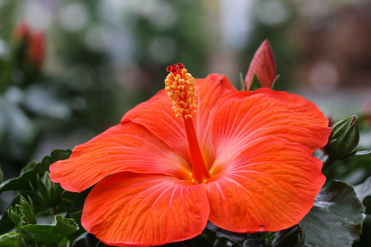 4. 噪音低至多少