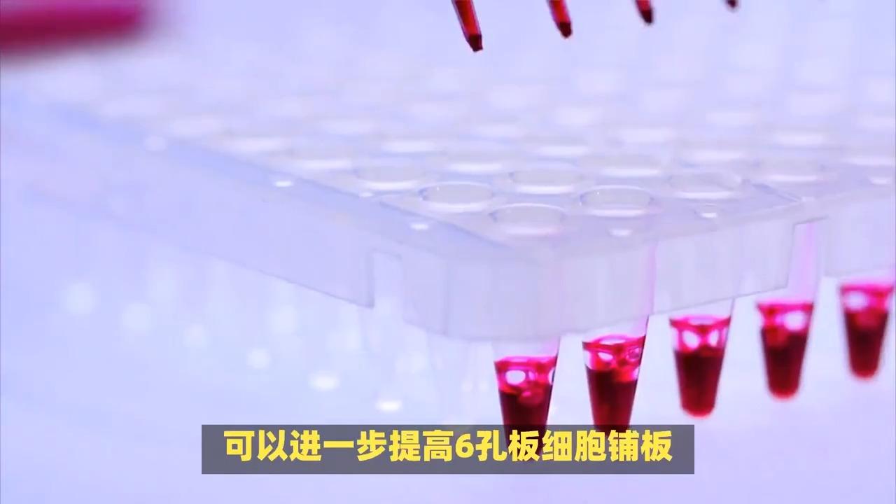Hepg2细胞铺板 如何计算加多培养液跟多少细胞悬液? - 知乎