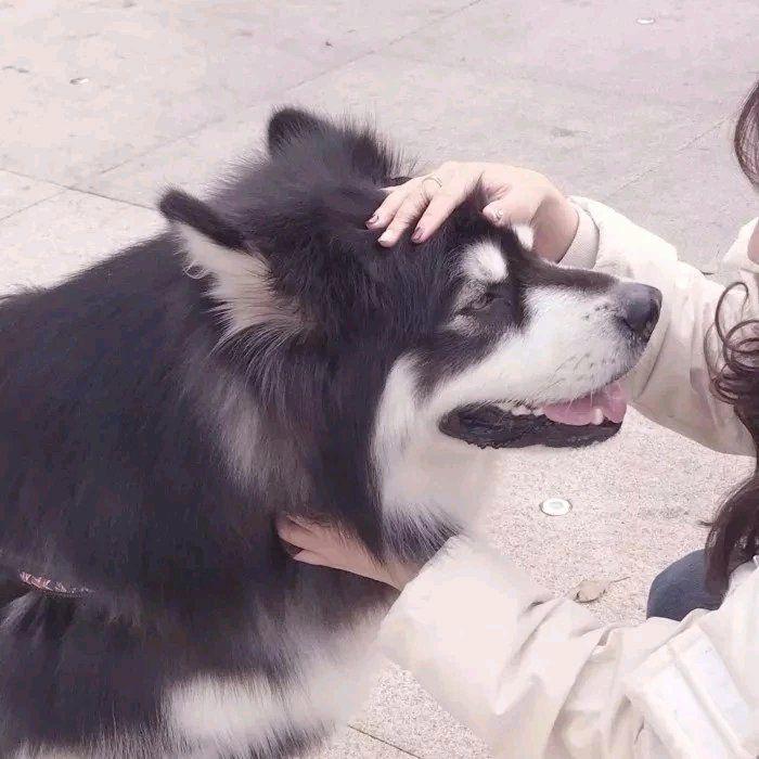 有没有适合一个人用的情头