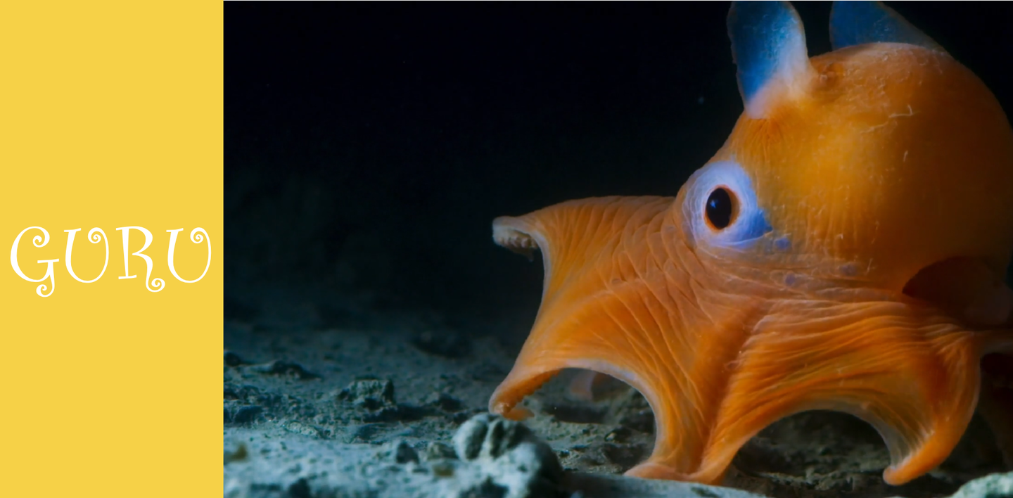 v2-89f7ab9a13e2608b7c3a158be9563b7a_1440w.jpg?source=172ae18b