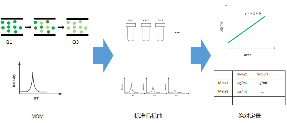 代谢组学基础入门系列——代谢组学基本概念 - 知乎