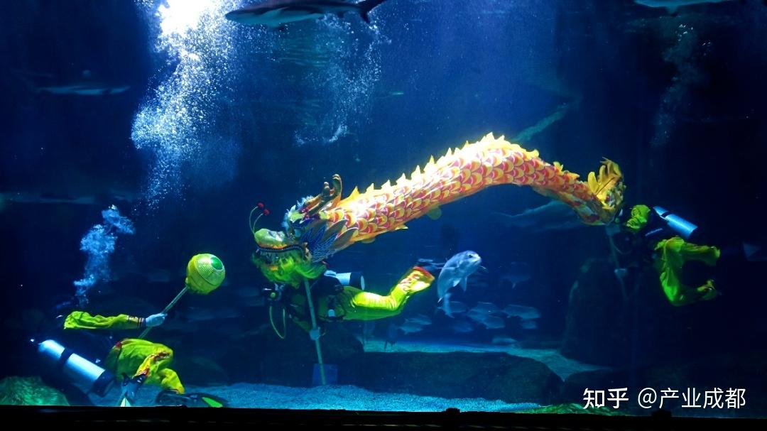 成都海昌极地海洋公园,图源成都文旅浩海立方海洋馆则是借势海滨城