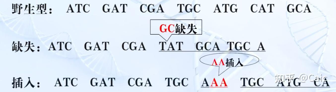中隐藏的力量