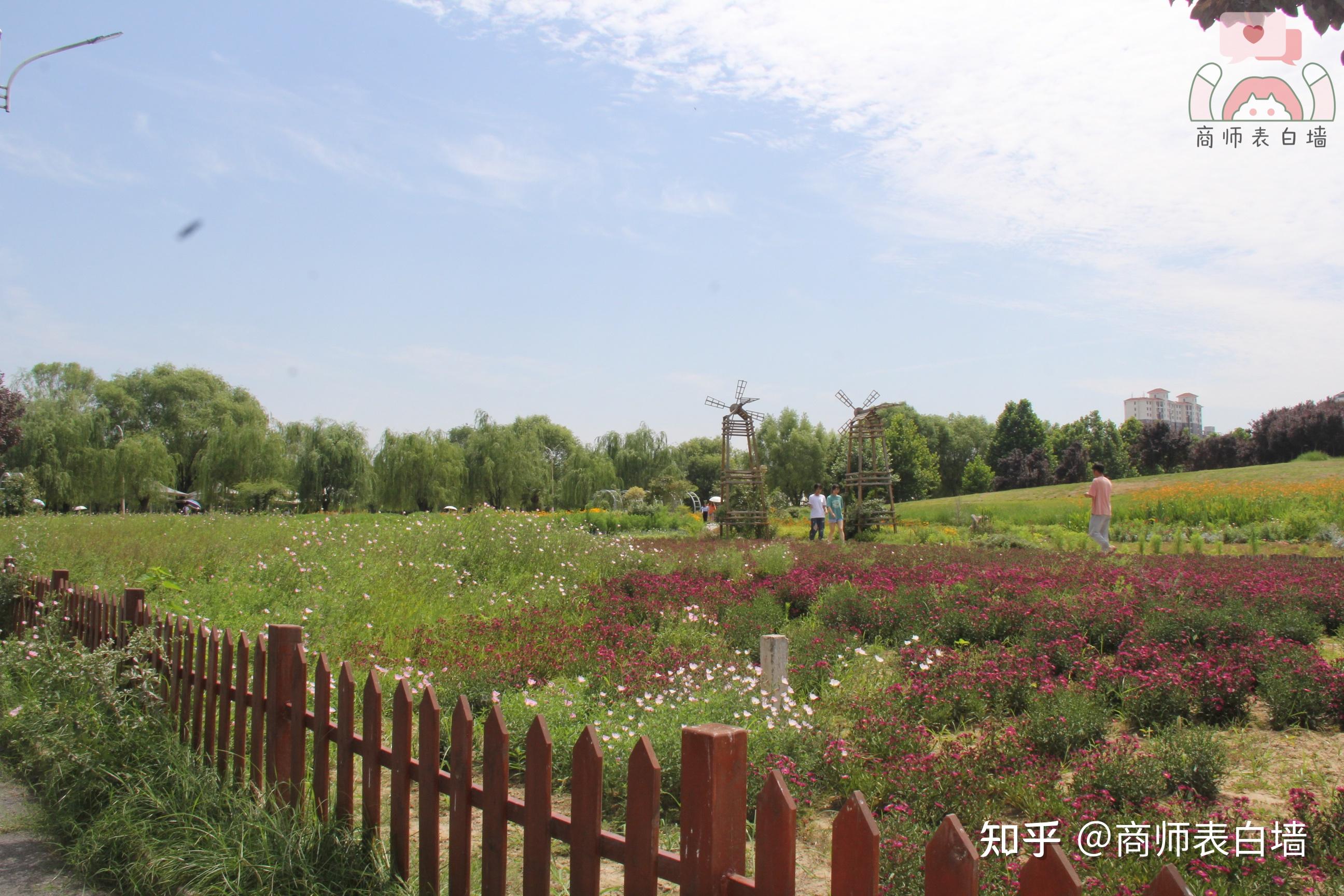 商丘师范学院梁园校区介绍与相关问题汇总
