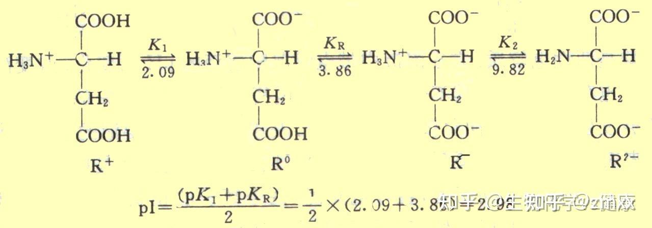 生命的分子-第二章 氨基酸与蛋白质 - 知乎