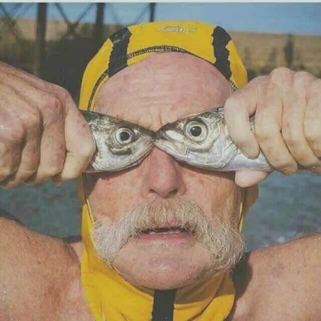 有高级又沙雕的qq头像吗?