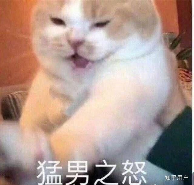 激动是表达什么意思 v2-8a3e10e1cade8f06786037c592dd3d04_r.jpg