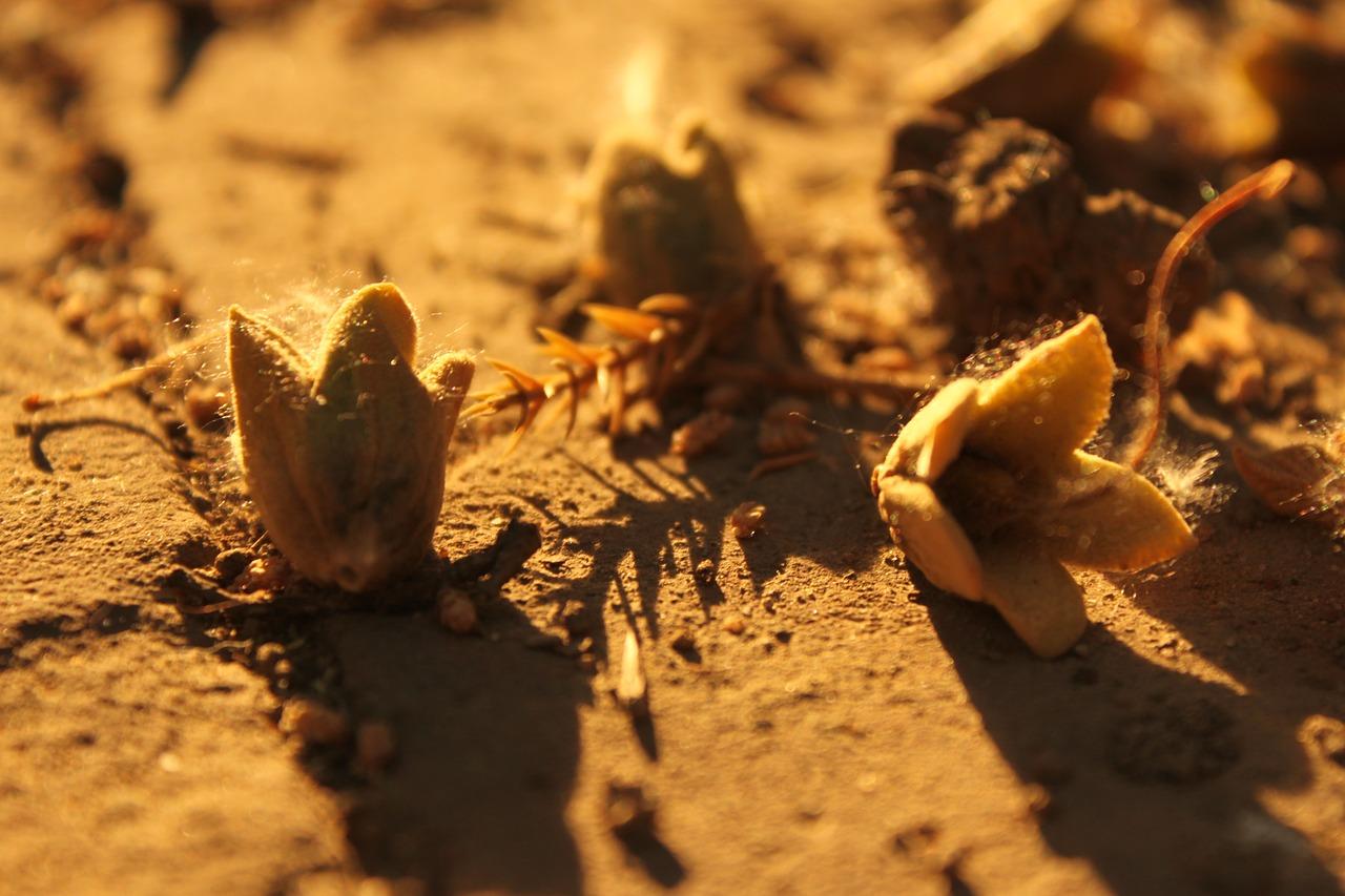 3. 周边环境宜居