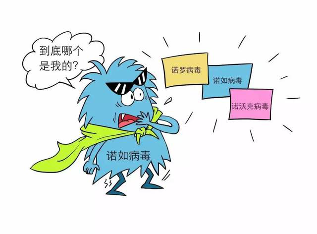 诺如病毒的高发期,一起了解预防诺如病毒感染的防控关键。 - 知乎