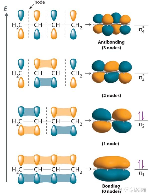 低(原因是p肩并肩的叠加效果必然不如头碰头,这个很好理解),所以homo