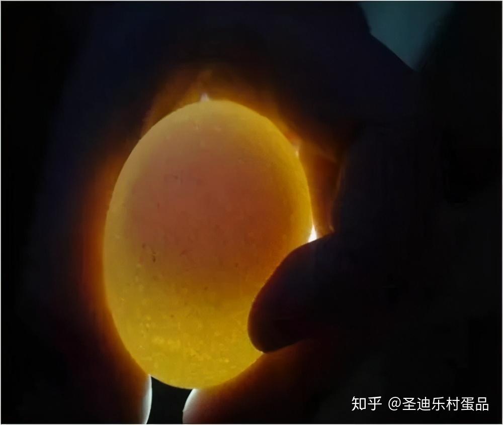 下,将鸡蛋对着灯光透视,如果鸡蛋呈微红色,半透明状态,蛋黄轮廓清晰