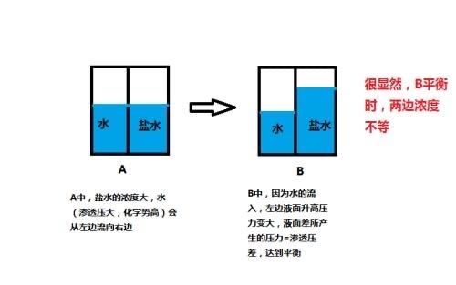 武松在景阳冈喝了18碗酒外加两斤熟牛肉正常人的胃