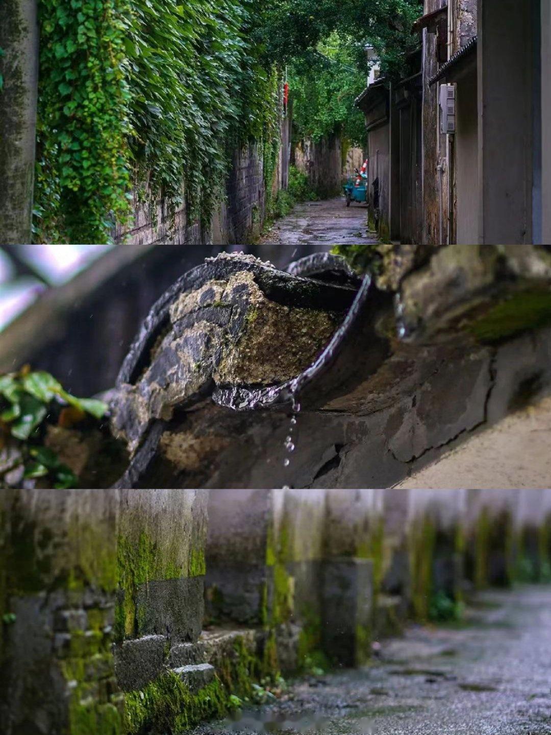 苏州旅行|千年古村落，漫步旧时光 - 知乎