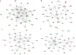 一文解锁机制研究神器——IPA分析! - 知乎