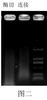 干货!如何构建一个高质量的Hi-C文库 | Hi-C专题 - 知乎