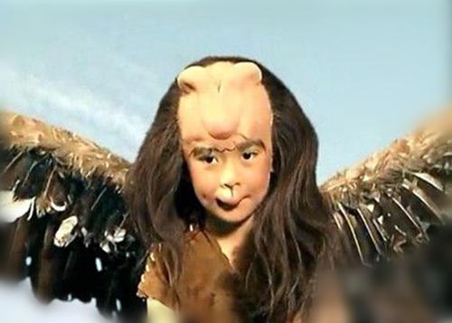 什么样是毛脸雷公嘴