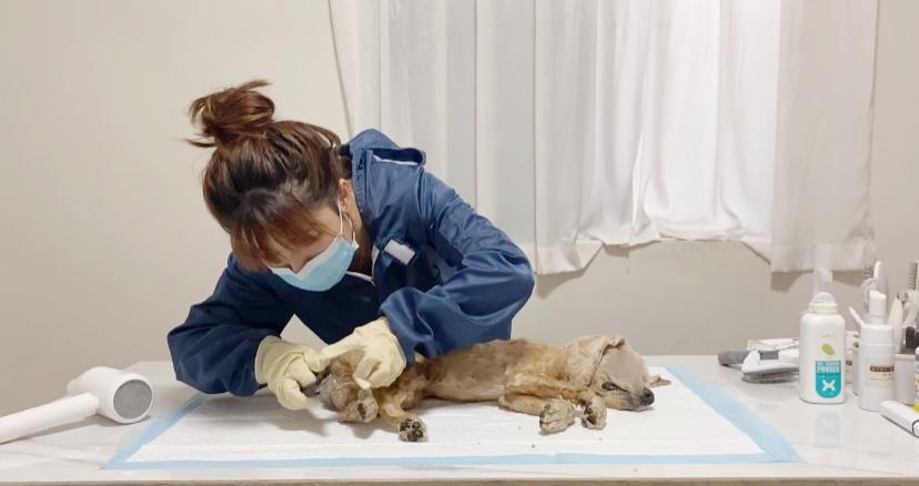 的生命驿站中,我们的服务价目公开透明,无任何隐形,身为宠物殡葬师