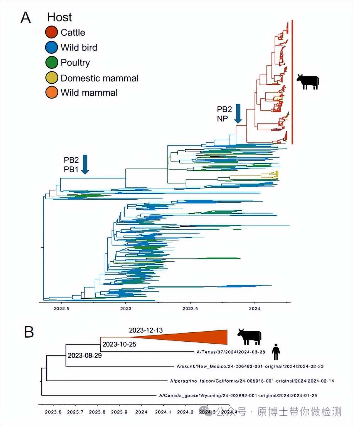 奶牛h5n1感染人病例持续增加,患者首现流感症状