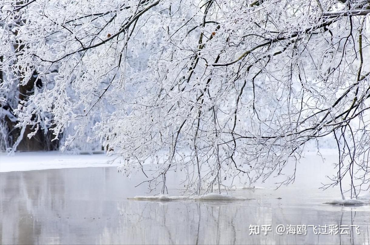 《江雪》 [唐] 柳宗元 千山鸟飞绝，万径人踪灭。 孤舟蓑笠翁，独钓寒江雪。 - 知乎