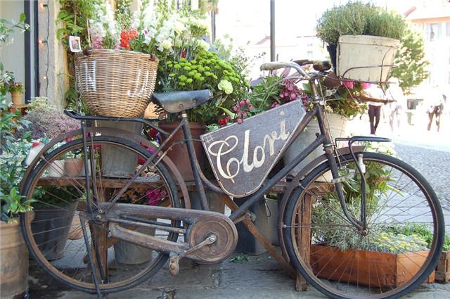 废旧的自行车都去哪了这样改造成自行车花园简直不要太美