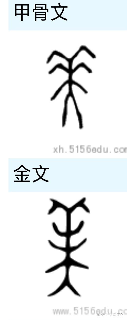 美字甲骨文,金文象形原型