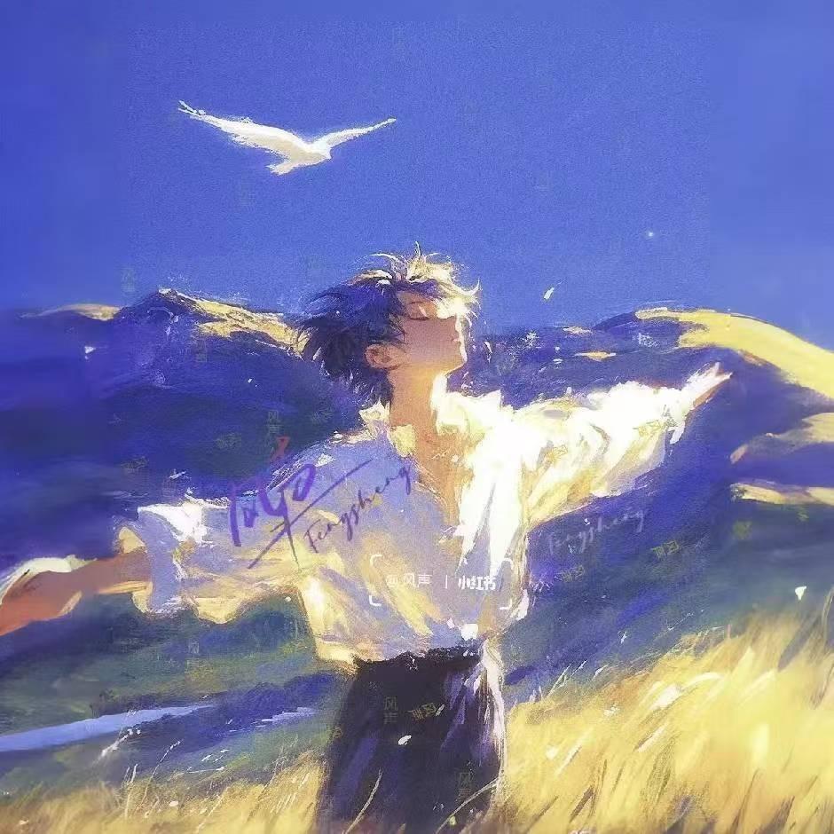 程序员花萍雨