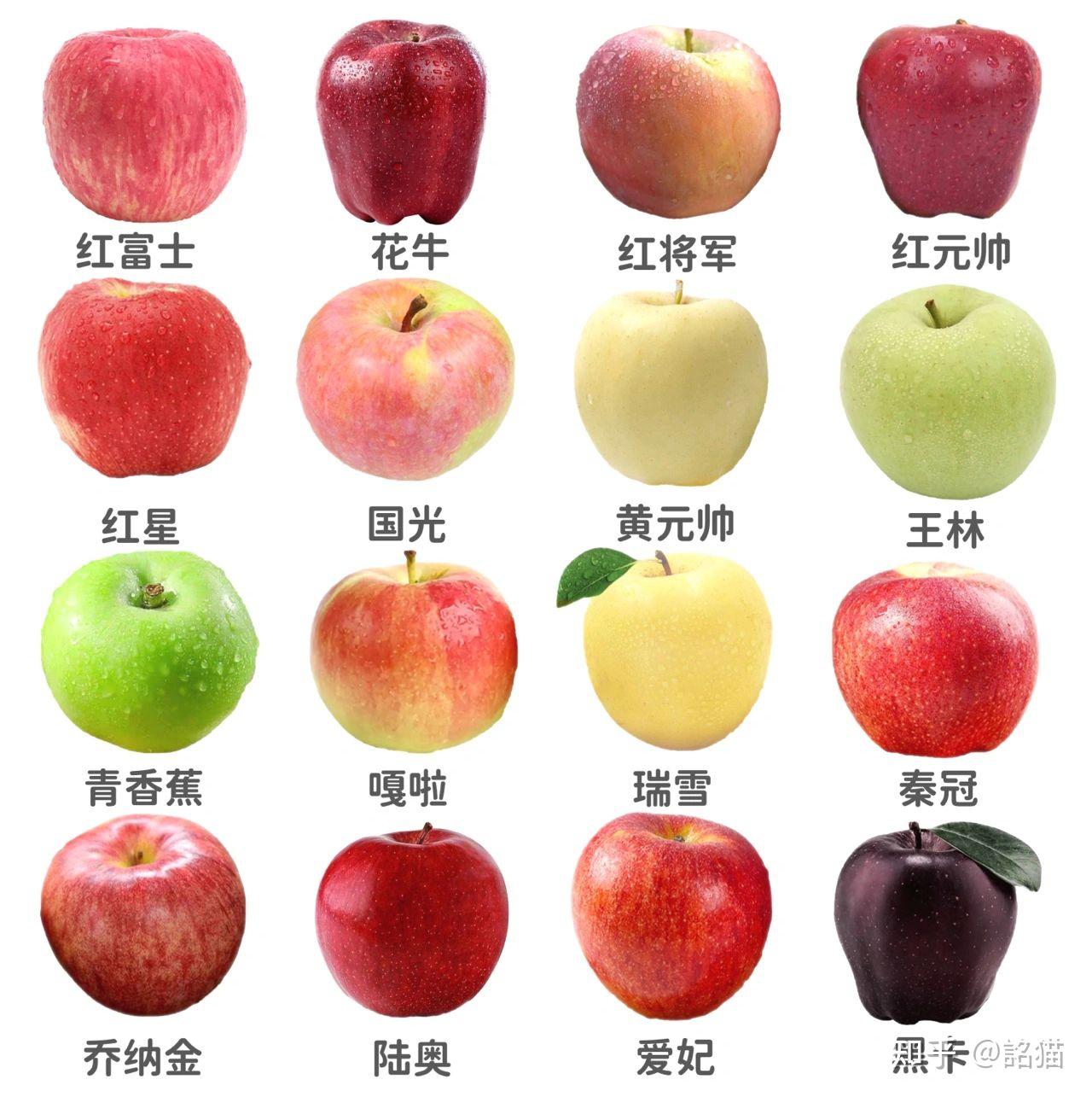 常见苹果的品种与口感【脆甜?面甜?or酸甜?】